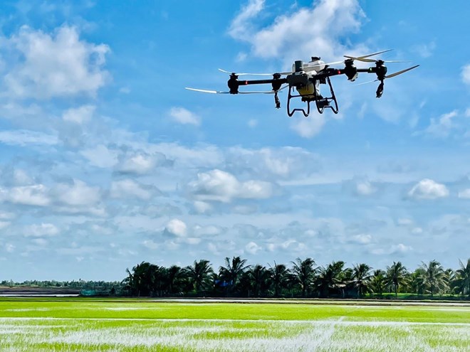 Điều khiển máy bay không người lái vèo vèo trên cánh đồng không dấu chân, dân nơi này ở Long An kiếm bộn tiền - Ảnh 1.